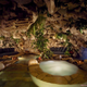 Illustration for article titled From the Playboy Mansion to YOLO Estate: The Lure of Backyard Grottos